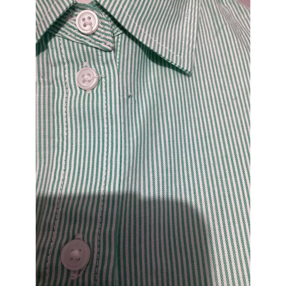 Everlane The Silky Cotton Relaxed Long Sleeve Button Up Shirt Striped Mint 0Flaw - Picture 3 of 9